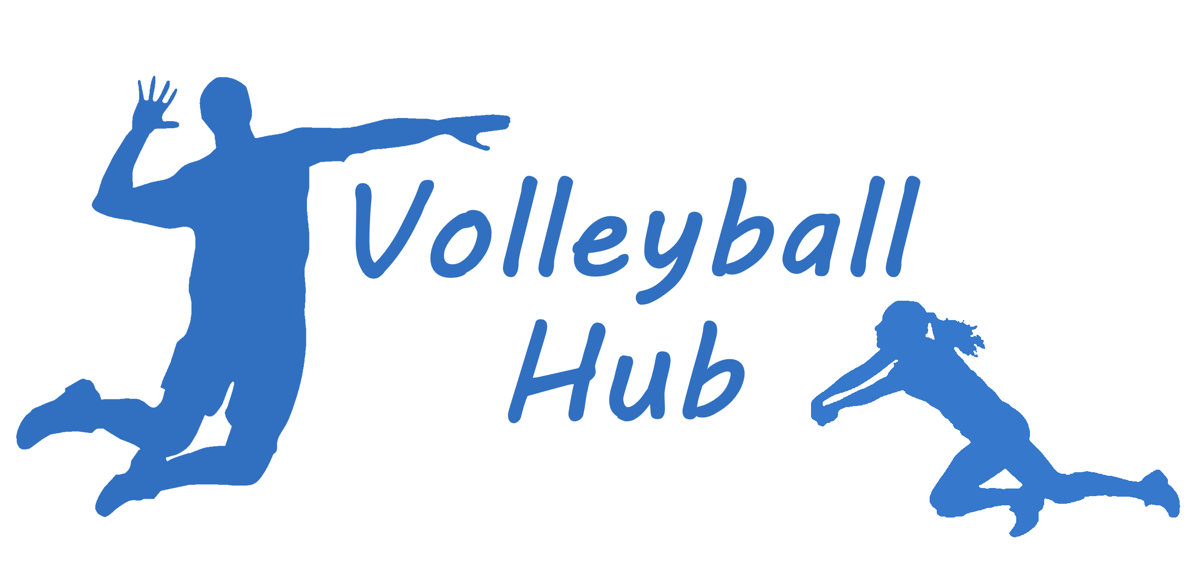 Volleyball Hub Logo